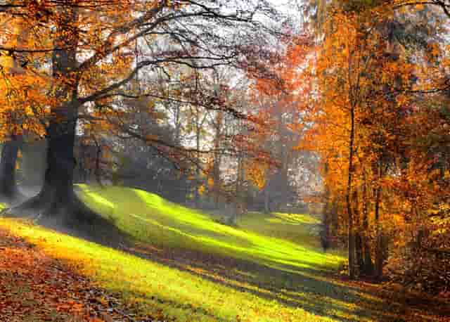 湖人队这是要有大交易了