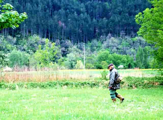 全球最好的印度国家